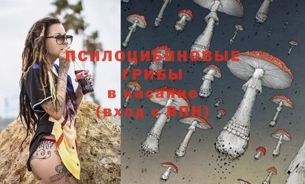 стафф Каменногорск