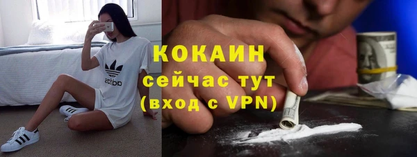 стафф Каменногорск