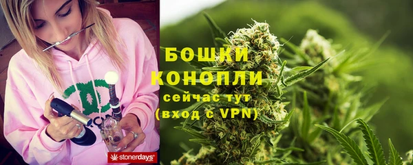 стафф Каменногорск